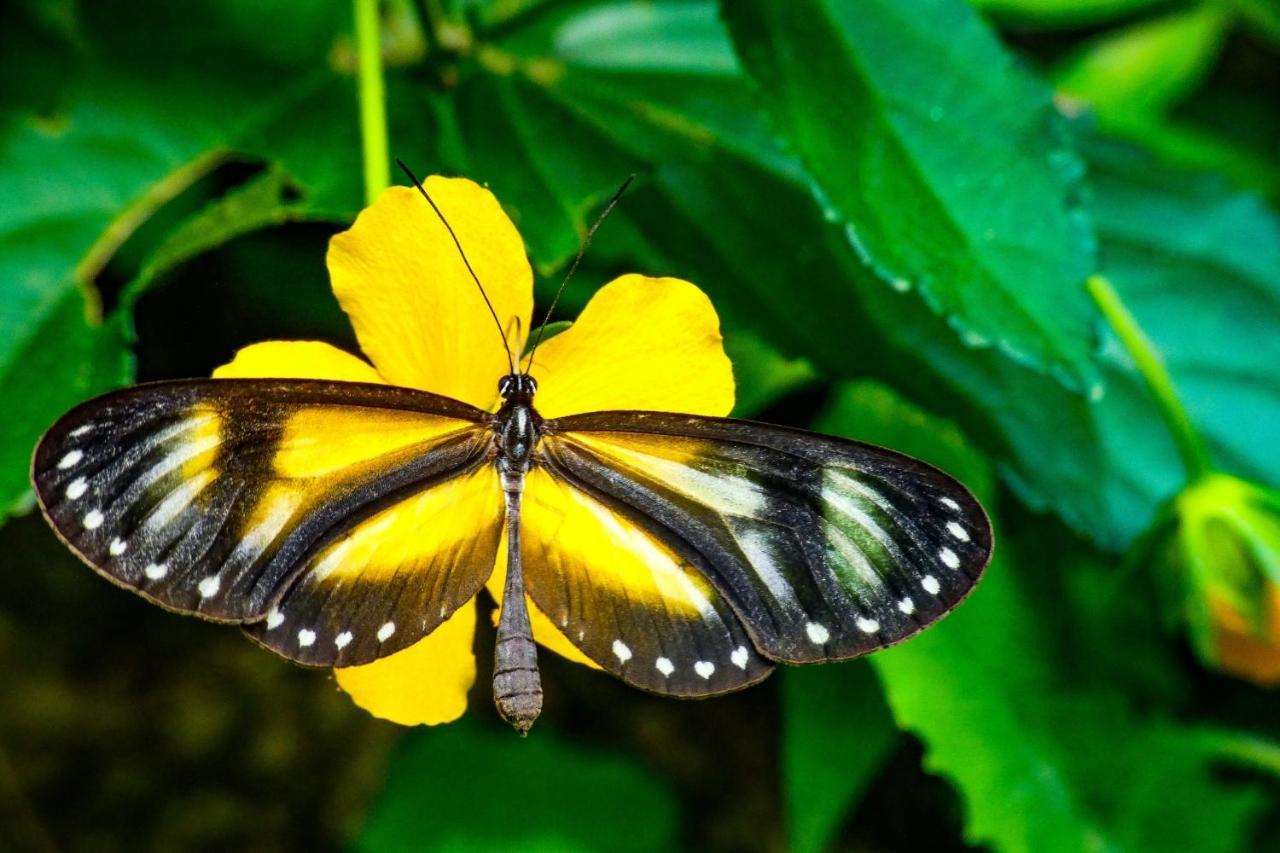 Rumi Wilco Ecolodge&Nature Reserve Vilcabamba Esterno foto