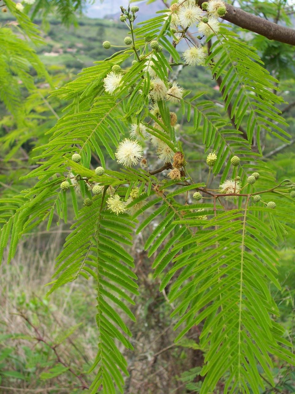 Rumi Wilco Ecolodge&Nature Reserve Vilcabamba Esterno foto
