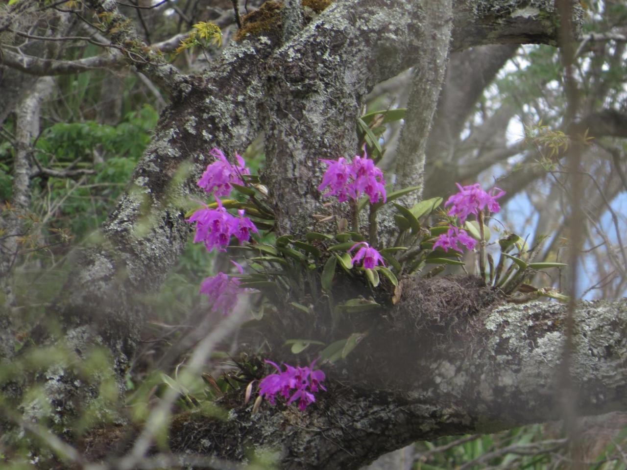 Rumi Wilco Ecolodge&Nature Reserve Vilcabamba Esterno foto