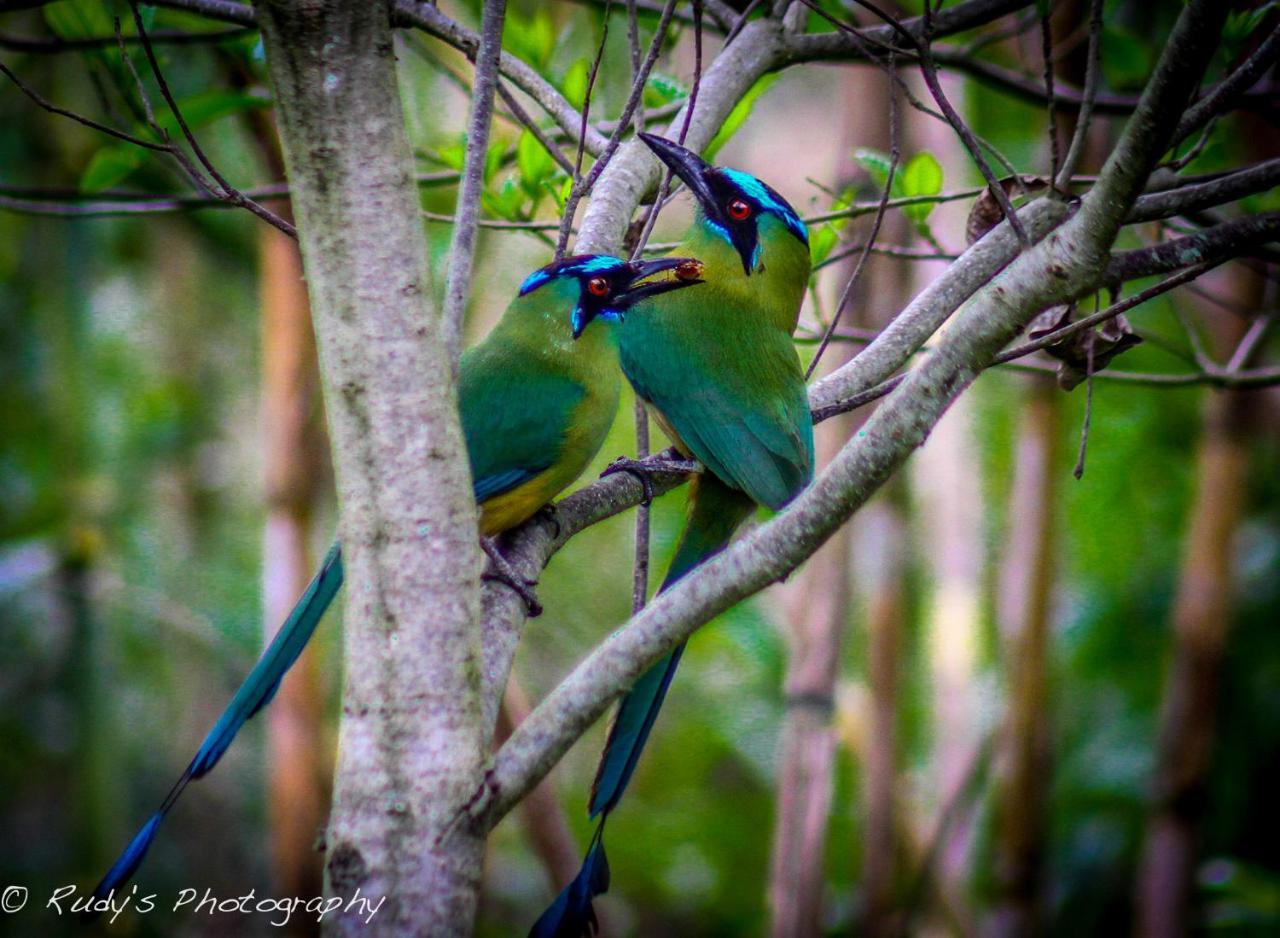 Rumi Wilco Ecolodge&Nature Reserve Vilcabamba Esterno foto